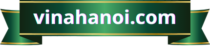 vinahanoi.com